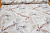 ТКАНЬ DIG 0506 COESA BEIG AXL